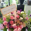 박지영산부인과의원 이미지