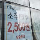 치파오24 이미지