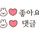 카카오 이미지