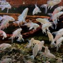 이마트24호암풍경채점 | 카페 아쿠아랑 추천 의정부 카페 맛집 휴무일 주차 리뷰 안내