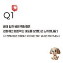 미소로 동물병원 | 신라대,인제대,경성대 리본동물의료센터 실습 후기 | 리본동물의료센터