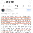 녹십자 동물병원 | 으뜸이 인천강아지건강검진으로 1위 동물병원인 이유 5가지.