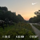 (D-83) 마라톤 10km 준비 4주차 - 1번째 [팩러닝 지속력 훈련]