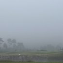 여주-1087 이미지