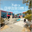 니모실내낚시터 | 양평 카페 아침부터 문을여는 마루정원제빵소 내돈내산 후기