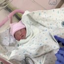 [출산 후기] 아산병원 페인버스터 없이 전신마취 제왕절개 | 3박4일 패밀리실 &amp; 1인실 비용 | 뜻깊었던...