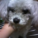 성일동물병원 이미지