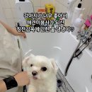 늘품로3 네이버블로그