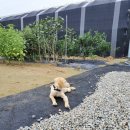 율현농장 이미지