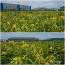 강변특장 이미지