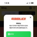 자유부인