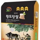 황토랑 이미지