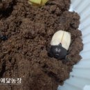 예닮농장 이미지