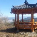 정자나루 이미지