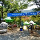 V랜드 물놀이장 이미지