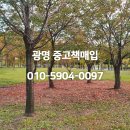 중고책한마음서적 이미지
