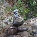 하동편백자연휴양림 이미지