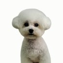 메모리멍 이미지