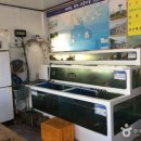 대복횟집 이미지