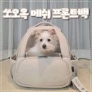 깍꿍 | 강아지이동가방 쏘오옥 메쉬 프론트백 나오자마자 산 후기