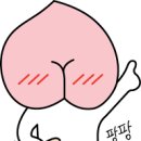 태완농장 이미지