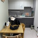 봄내에어하우스