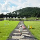 영주목장 | 아이랑 제주여행, 표선 알프스제주 말목장에서 행복한 하루