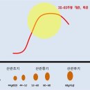 싱싱한 계란 고르는 법 이미지