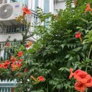 (주)미류가 이미지