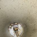 산업로-5 이미지