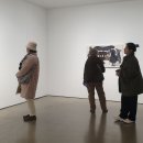 민화모란도 이미지