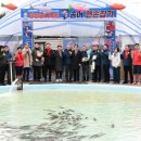 송어축제 이미지