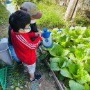 한성농장2 이미지