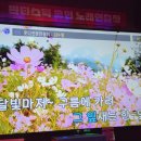 아리랑 노래연습장 네이버블로그