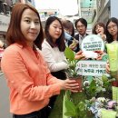 세니떼뷰티샵 이미지