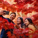 우정모텔 | 내장산 단풍 우정 여행 코스: 친구와 함께 잊지 못할 추억 만들기