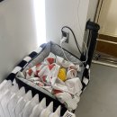 성수 카페 치즈케이크 맛집 비도커피ㅣ케이크 2종 후기ㅣ내돈내산