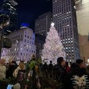 주식회사디자인하이츠 | 뉴욕 연말 크리스마스 여행 추천 리스트 - 다이커 하이츠 라이트 투어 / 전망대 / 맨하탄 투어 등