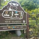 모산목장 이미지