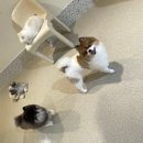 멍치원 | 우리 애꽁이의 두 번째 집, 광안 멍치원 유치원 등록 후기