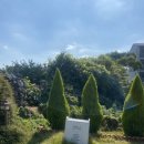 제주써니 이미지