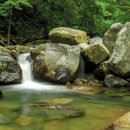 진례전통시장 | 기장, 김해 계곡 - 숨은 명소, 청량감, 자연