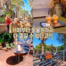 커피왕자인점 | 제주도 서귀포 놀거리 어린왕자 제주도 동물원 체험