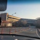 광교현대자동차서비스 | 도심 근처 숲세권, 화성 롤링힐스 호텔에서 보낸 힐링의 2박 3일 기록