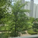 현대드림파크 | 현풍 화성파크드림 실거주 후기! 감동적인 조경과 이색 캠핑 공간의 매력