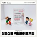 씨에이치바이오샵 질유산균 임산부 갱년기 여성 선물추천