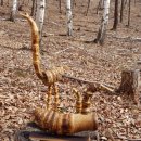 뿌리동물농장 이미지