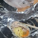 다정이네 이미지