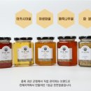 꿀벌랜드 협동조합 이미지