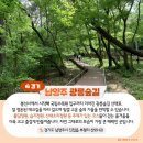 2023년 6월11일,경기 남양주 광릉 국립수목원 둘레길 & 봉선사 이미지